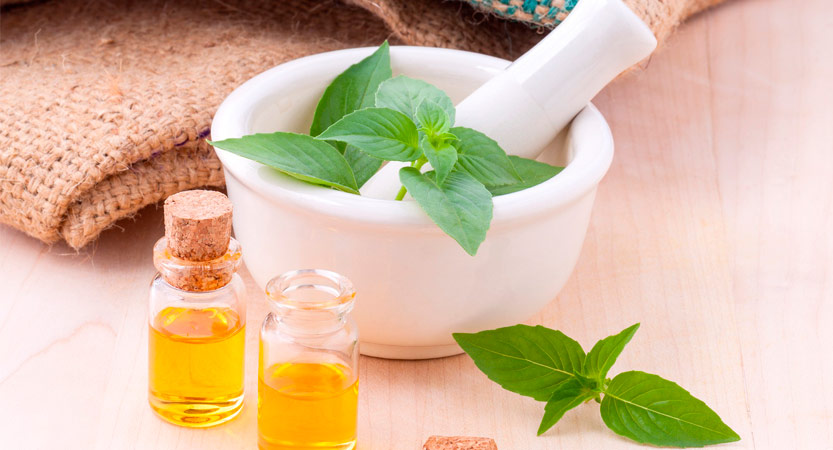 plantas medicinales